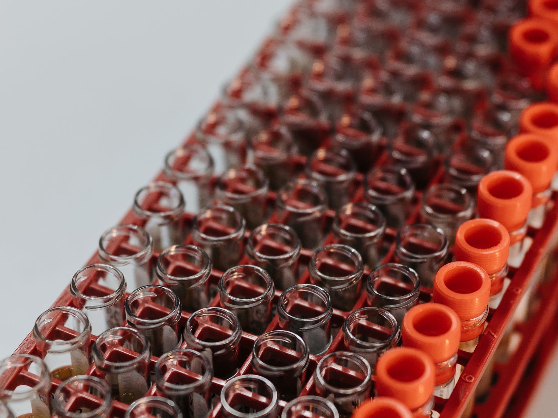 Glass test tubes in a red laboratory rack