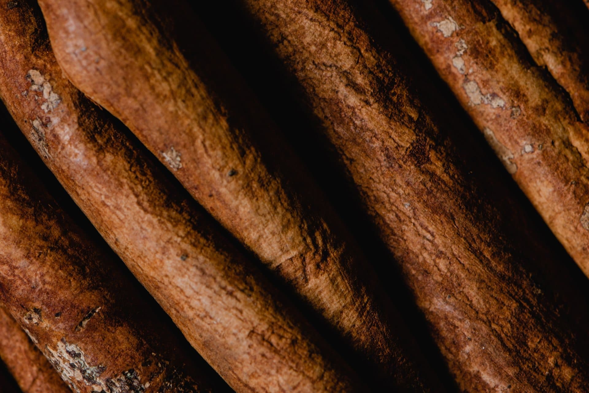 Close-up of cassia bark with grey patches of outer skin