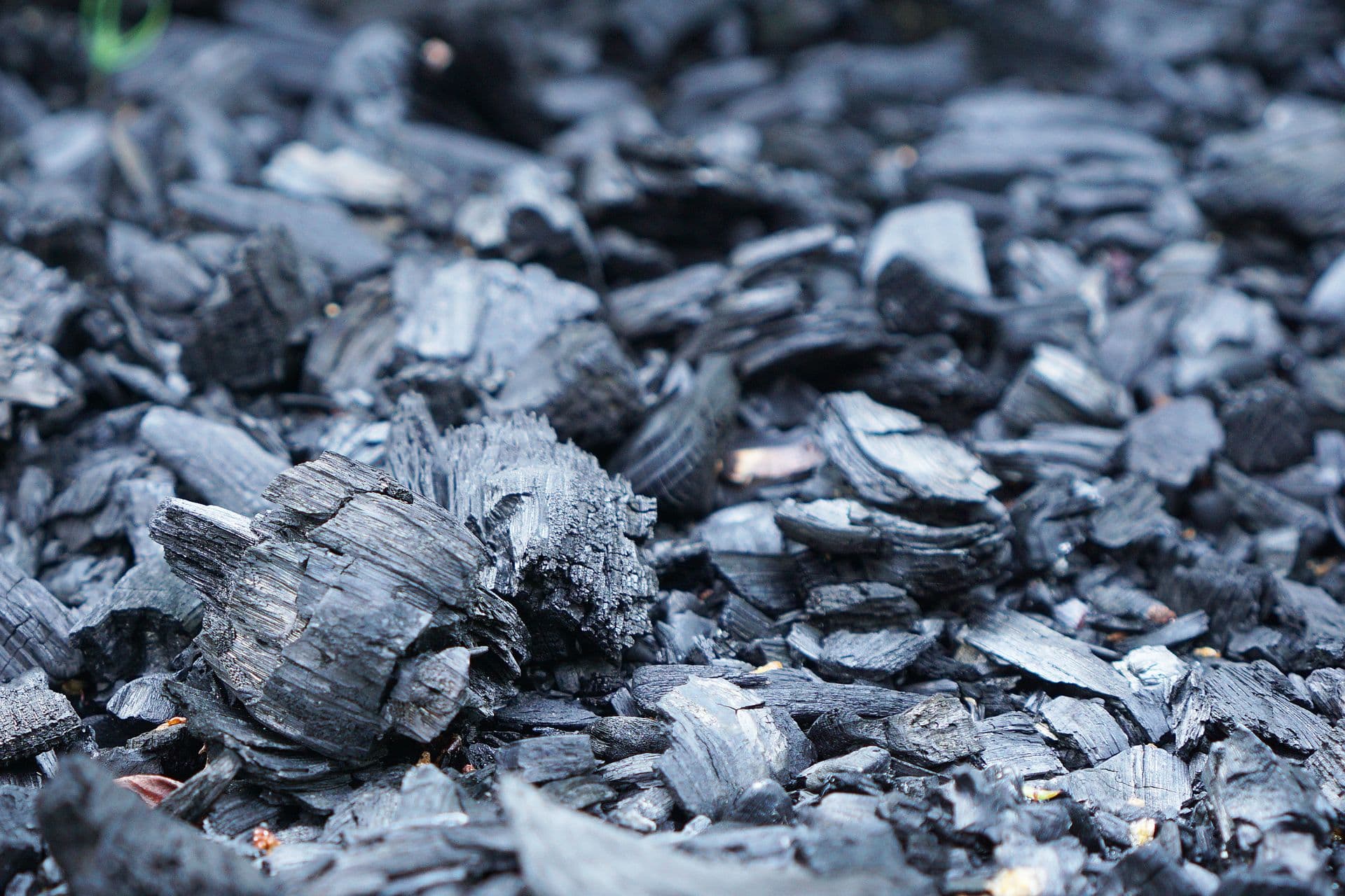Pile of black lump charcoal on the ground