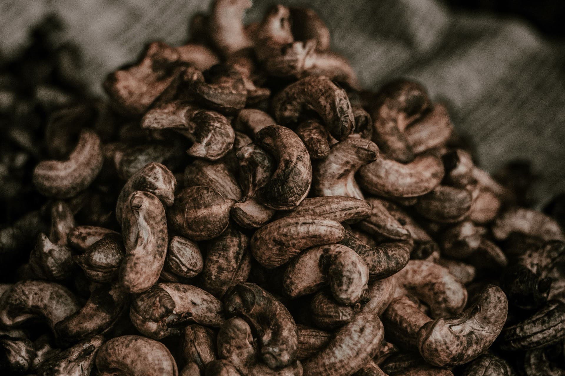 Roasted salted cashews from Vietnam: a buyer's guide