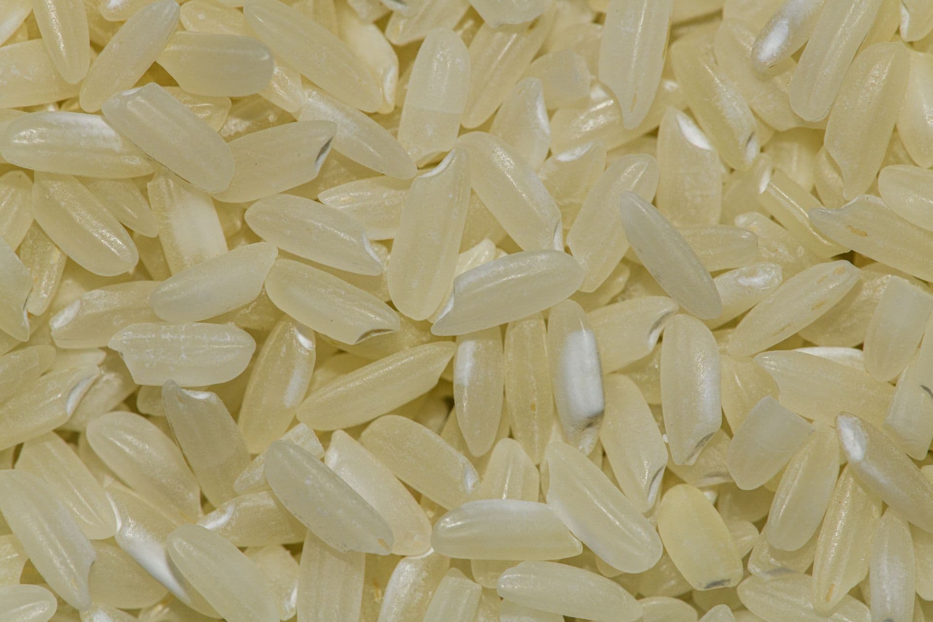 Close view of long white rice grains, a few with opaque chalky patches