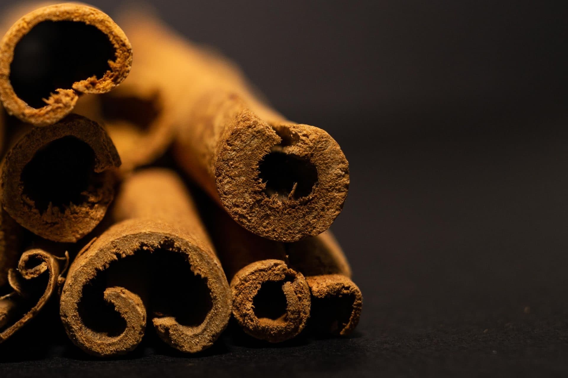 Thick rolled cassia sticks seen from the cut end